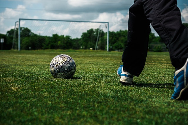 他们共同谱 他们共同谱