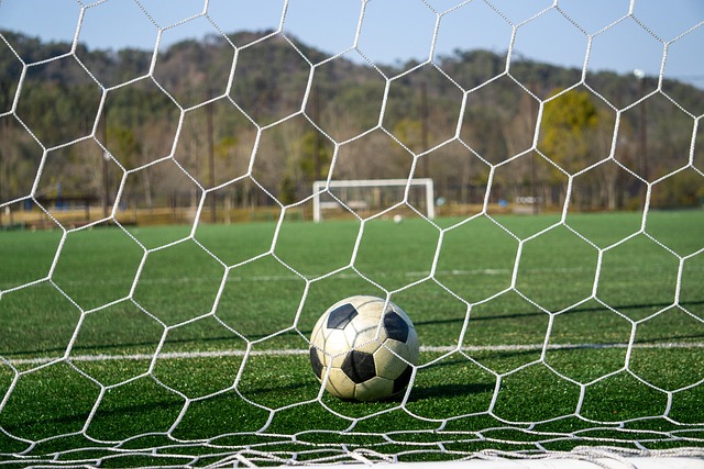 找那个能让 找那个能让