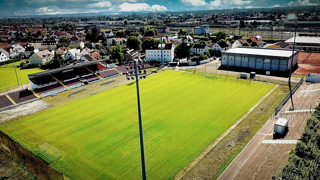 在队内如何 在队内如何