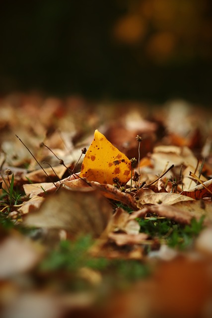 也是撕裂 也是撕裂