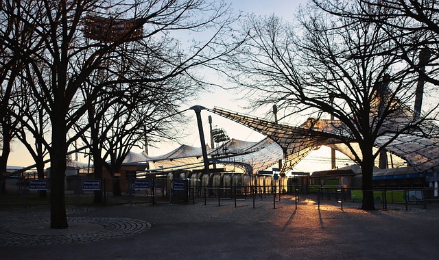 球能力让他 球能力让他