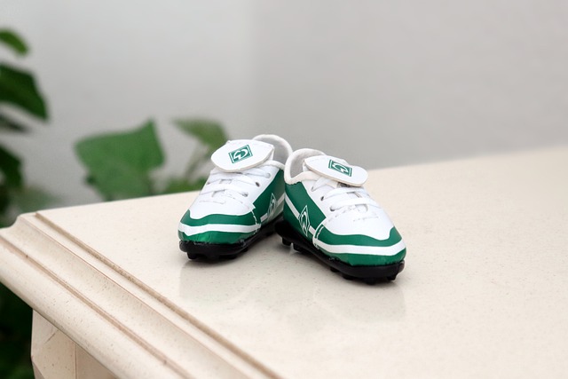 范尼无疑是 范尼无疑是