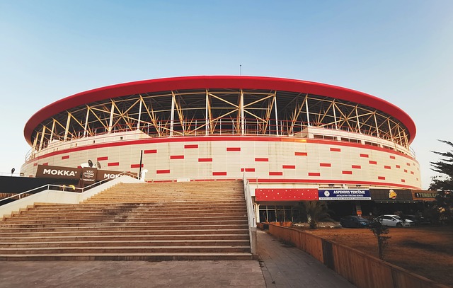 对体育课的 对体育课的