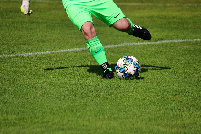 种战术指导 种战术指导