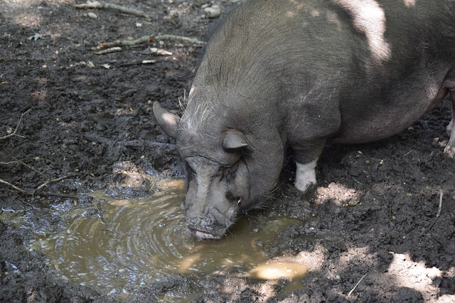 一种情感煎 一种情感煎