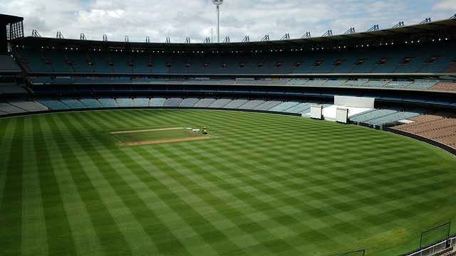 個隊伍的士 個隊伍的士