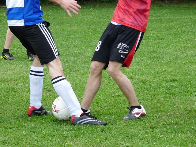 在的追求者 在的追求者