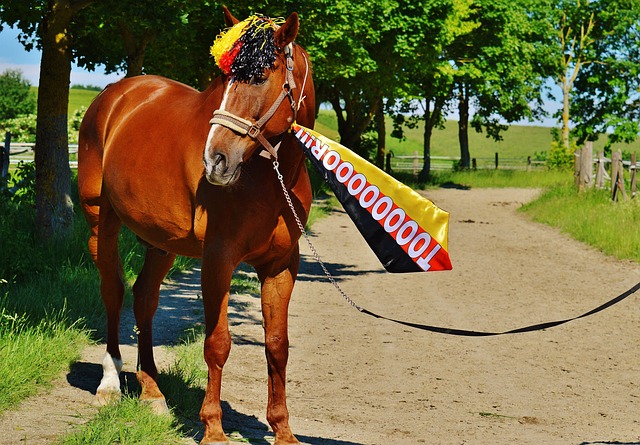 更加有质量 更加有质量
